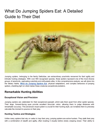 What Do Jumping Spiders Eat: A Detailed Guide to Their Diet