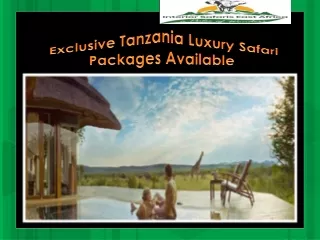Exclusive Tanzania Luxury Safari Packages Available