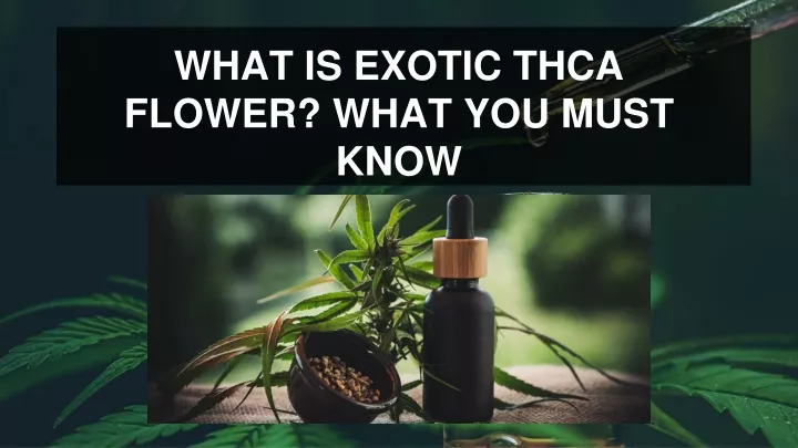 what is exotic thca flower what you must know