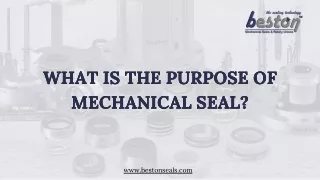 What is the Purpose of Mechanical Seal? - Beston Seals