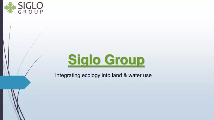 siglo group