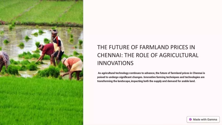 the future of farmland prices in chennai the role