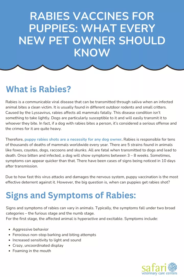 rabies vaccines for puppies what every