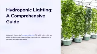 hydroponic lighting a comprehensive guide