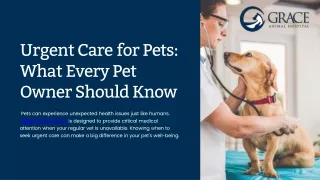 urgent care for pets what every pet owner should