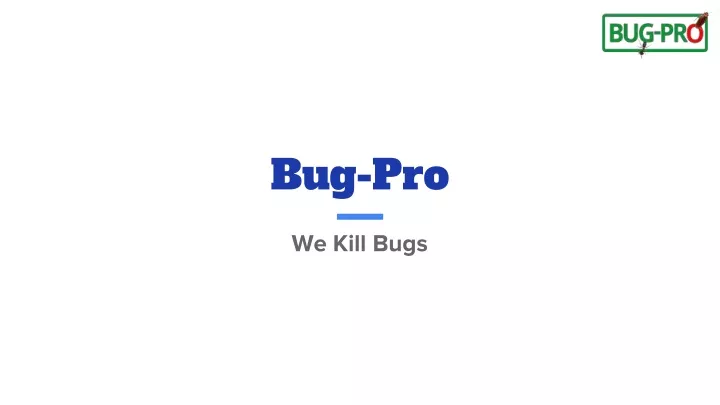 bug pro