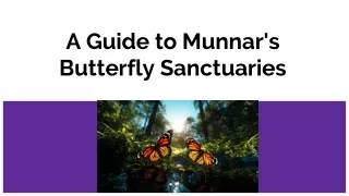 A Guide to Munnar's Butterfly Sanctuaries