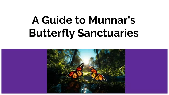 a guide to munnar s butterfly sanctuaries