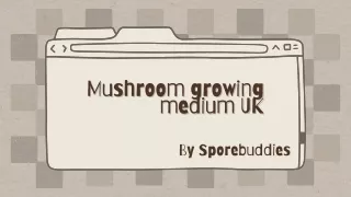 Mushroom growing medium UK