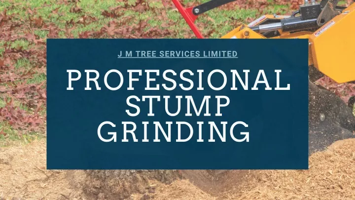 j m tree services limited professional stump