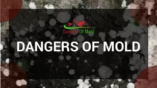 dangers of mold