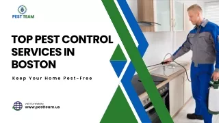 Top Pest Control Services in Boston