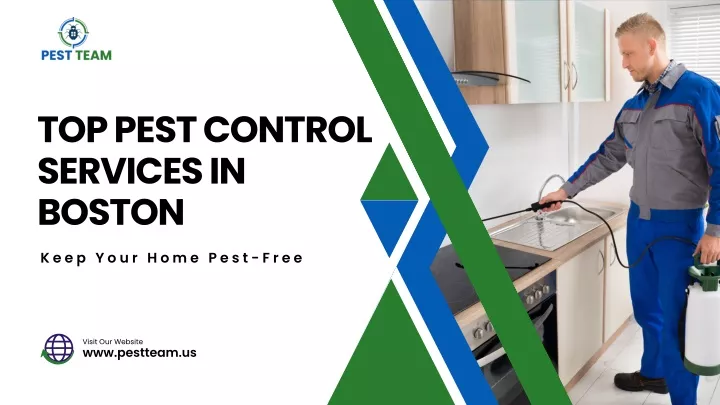 top pest control services in boston