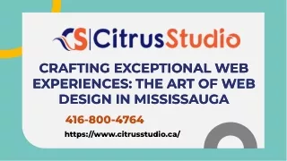 Web Design Company Mississauga