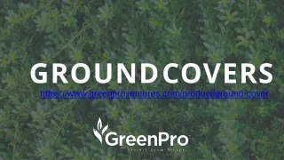 Advantages Of Ground Covers For Ground Control