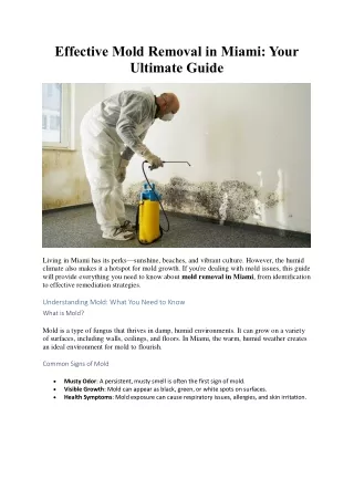 effective mold removal in miami your ultimate
