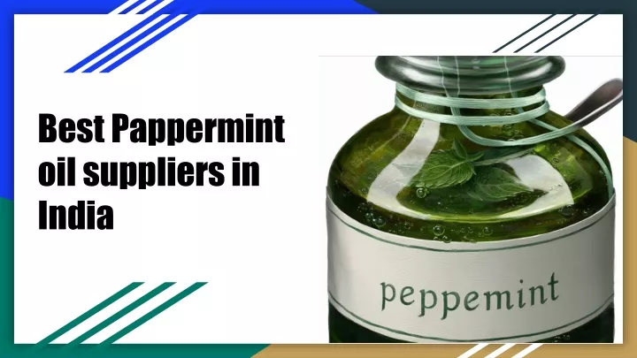 best pappermint oil suppliers in india