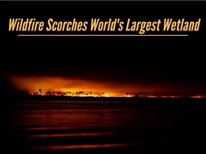 wildfire scorches world s largest wetland