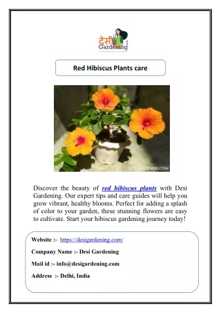 Red Hibiscus Plants care