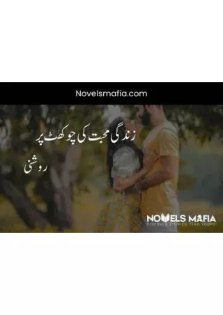 Urdu romantic novel