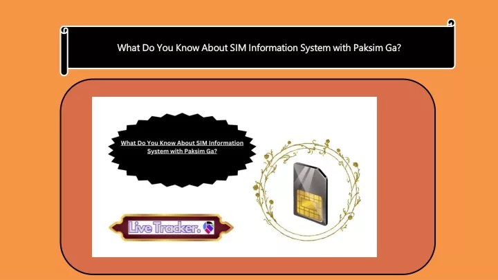 what do you know about sim information system