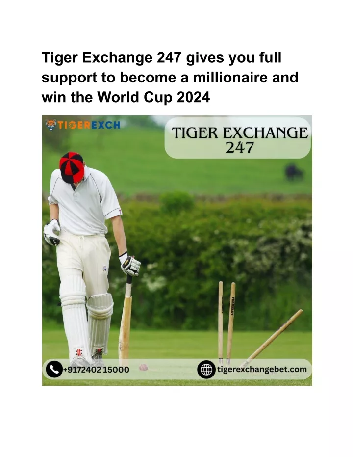 tiger exchange 247 gives you full support