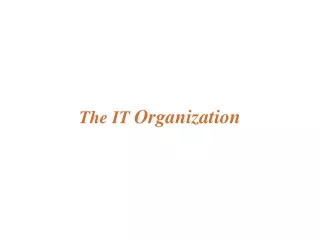 the it organization