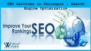 SEO Services in Ferozepur