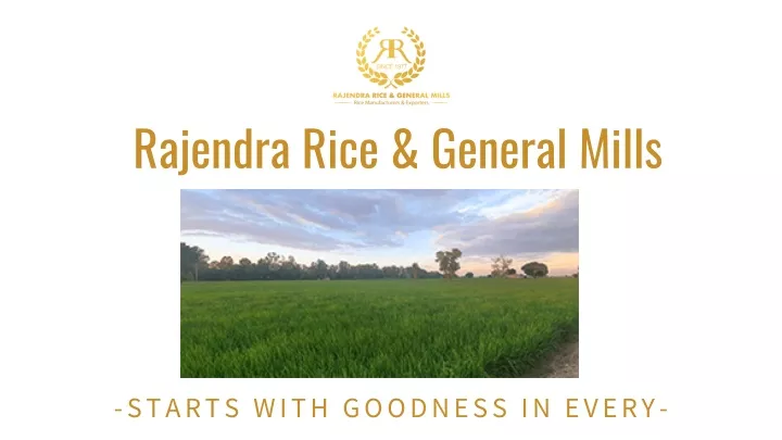 rajendra rice general mills