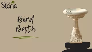 Bird Bath