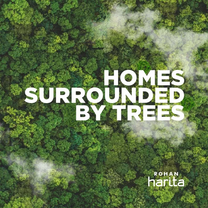 homes by trees