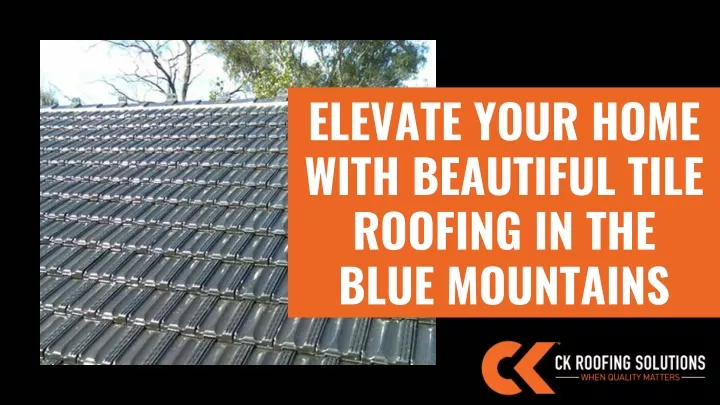 elevate your home with beautiful tile roofing