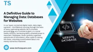 A Definitive Guide to Managing Data Databases for Websites