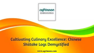 Cultivating Culinary Excellence Chinese Shiitake Logs Demystified