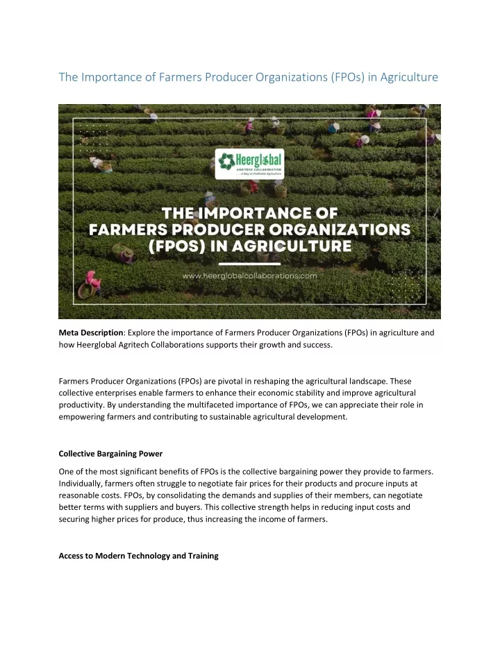 the importance of farmers producer organizations