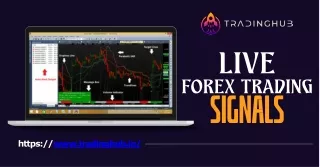 https www tradinghub io