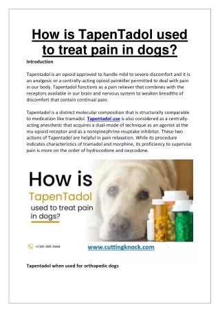 How is TapenTadol used to treat pain in dogs?