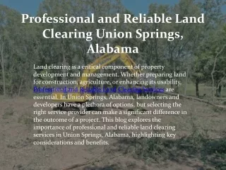 Professional and Reliable Land Clearing Union Springs, Alabama