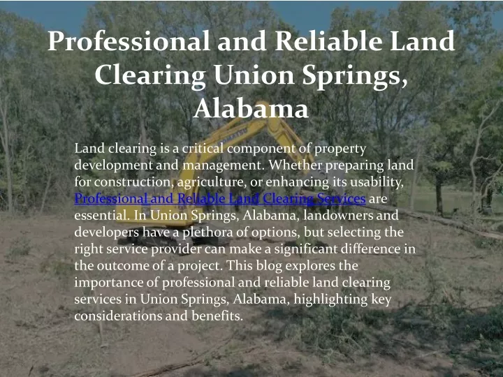 professional and reliable land clearing union springs alabama