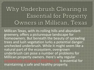 Why Underbrush Clearing is Essential for Property Owners in Millican, Texas