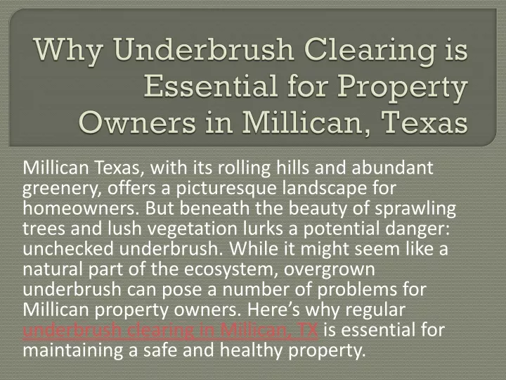 why underbrush clearing is essential for property owners in millican texas