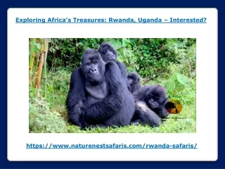 Exploring Africas Treasures - Rwanda and Uganda – Interested