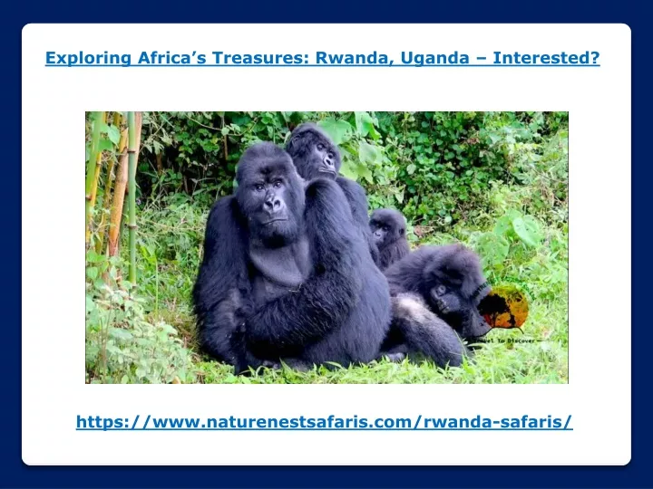 exploring africa s treasures rwanda uganda