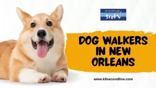 Professional Dog Walkers in New Orleans