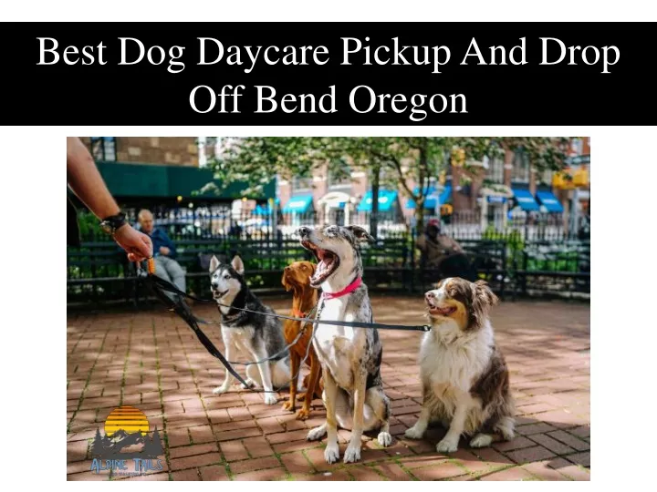 best dog daycare pickup and drop off bend oregon