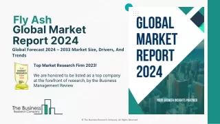 Fly Ash Market Size, Growth Analysis, Industry and Forecast To 2024-2033