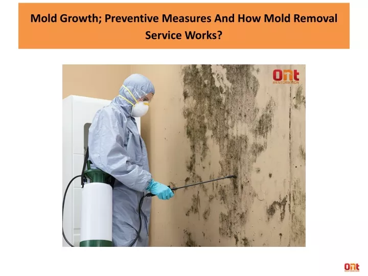 mold growth preventive measures and how mold removal service works