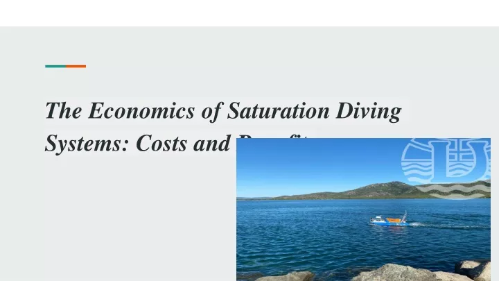 the economics of saturation diving systems costs and benefits