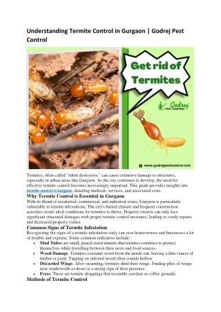 Understanding Termite Control in Gurgaon