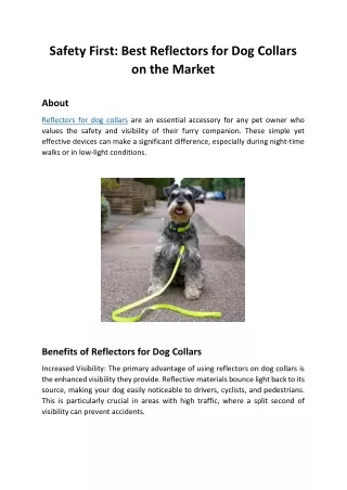 Safety First Best Reflectors for Dog Collars on the Market